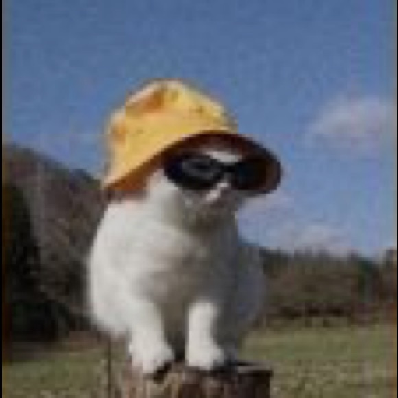 Meet your Posher, Annemaire - Picture 1 of 1